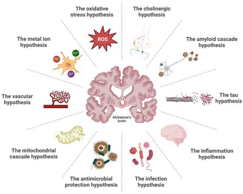 Exploring the Link Between Periodontitis and Alzheimer’s Disease—Could ...