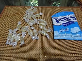 Nestlé Fox's Mints Bag, 90G, Pack of 1, Multicolour : Amazon.in ...