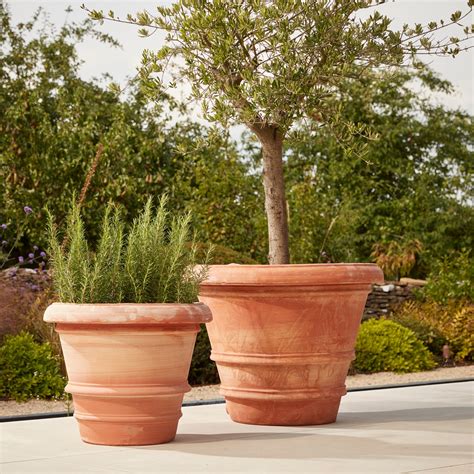 Tall Terracotta Planters Terracotta Pots | Grow Urban.