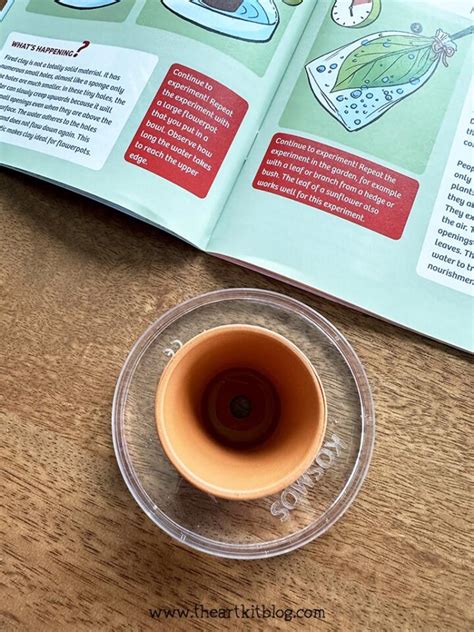 Image result for Science Kit Review