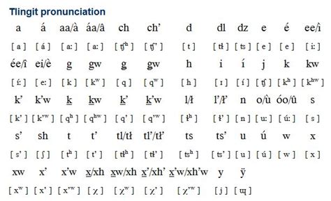 Tlingit Language Translator: Speak, Understand, & Connect