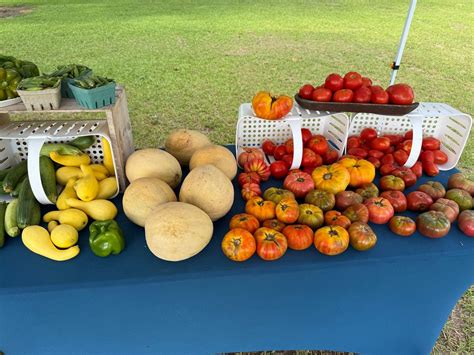 Heart Pine Roadside Market, 15586 Atomic Rd, Beech Island, SC, 1 August ...