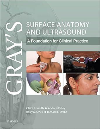 Gray’s Surface Anatomy and Ultrasound: Gray’s Surface Anatomy and ...
