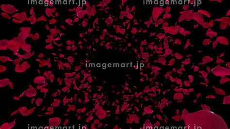 Image result for Twitter Algorithm Flow