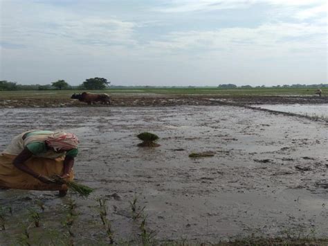 Assam prepares to tackle floods as early rain hits state
