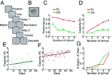 Working Memory Capacity 的图像结果