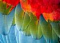 Image result for Software Testing Tools Notes