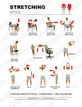 Stretching Exercise Chart 的图像结果