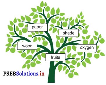 Class 3 Lesson 2 English PSEB 的图像结果