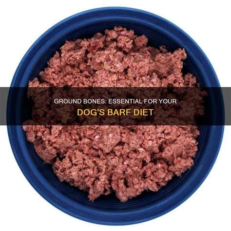 Ground Bones: Essential For Your Dog's Barf Diet | ShunKeto