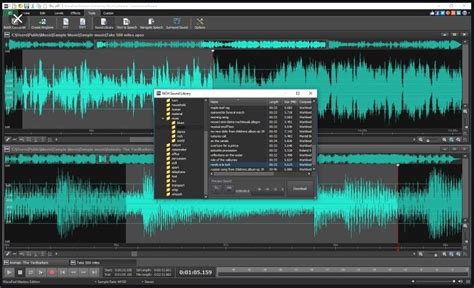 Image result for WavePad Sound Editor Registration Code