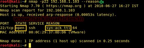 Understanding Nmap Packet Trace
