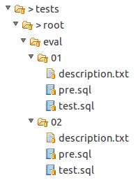 Image result for Test Package in SQL Developer