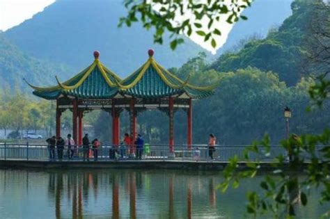 2017柳州市各区人口数量排行榜,历年柳州市人口数量排行榜_排行榜123网
