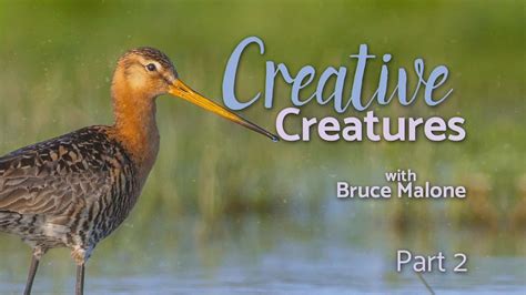 Origins - OR1910 | CornerStone Television Network