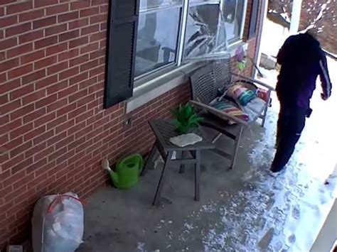 Dog Smashes Through Window Scares Delivery Guy