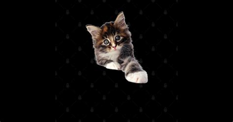 Image result for Scratch Cat Stickers