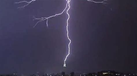 Odisha govt to plant palm trees worth Rs 6 cr to prevent lightning deaths