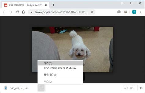 Open Download File in Windows 10 的图像结果