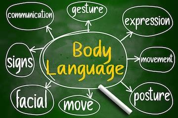 Body Language Mind Map 的图像结果