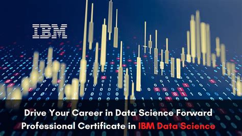 IBM Data Science 的图像结果