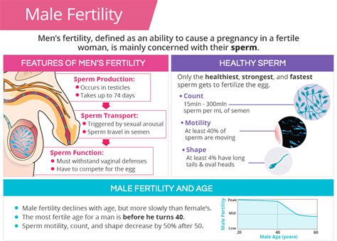 Best Male Infertility Treatment in Pune | DPU IVF & Endoscopy