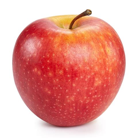 Image result for Apple Basic Programming Example