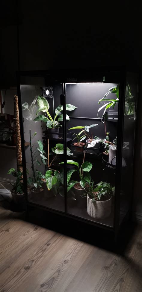 Image result for Rudsta Hack