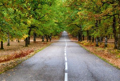 Image result for Temporary Car Insurance Form