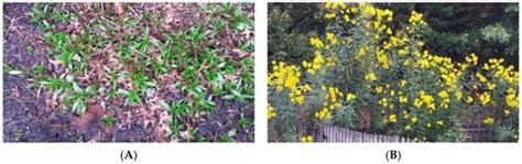 Propagation Methods for the Conservation and Preservation of the ...