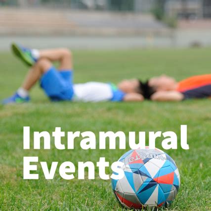 Image result for Intramurals Source Code Java