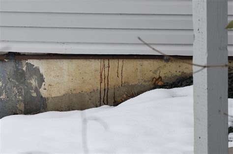 Cleaning crew dismissed from Idaho murder scene amid break in case