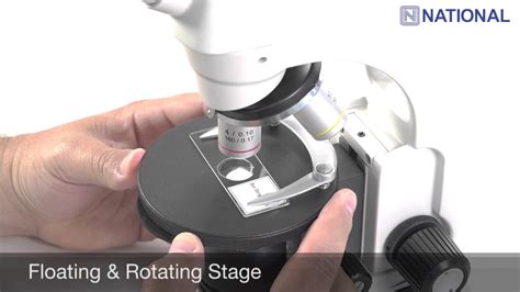 Image result for Compound vs Stereo Microscope