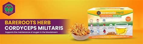 Buy Bareroots Herb Premium Cordyceps Militaris (keedajadi)- 30 Gram ...