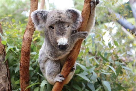 Image result for Photo Manipulation Mash Up Tutorial Tutorials