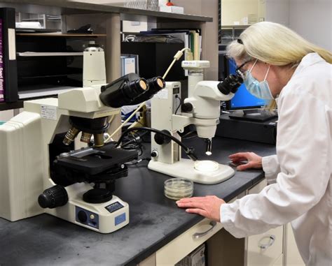 Image result for Drug Formulation Development