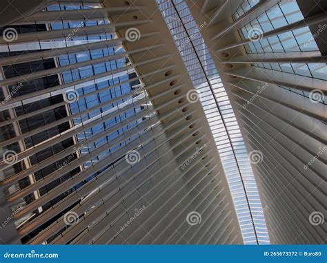 Image result for Oculus Ceiling