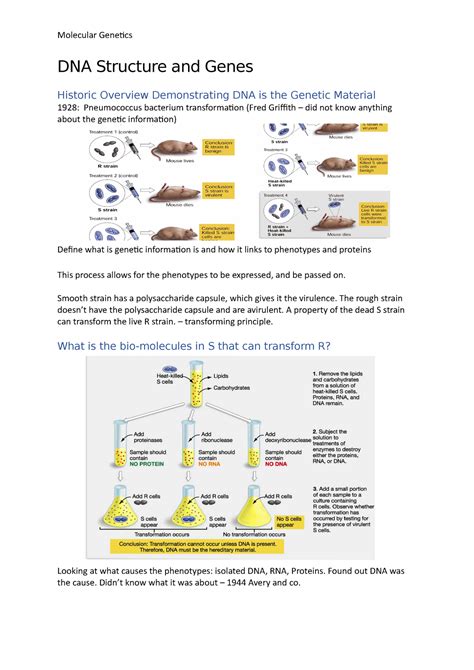 Genes 的图像结果