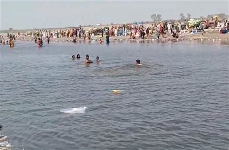 सोनीपत में यमुना में कट्टे में गौवंशों के अवशेष मिलने से फैली सनसनी ...