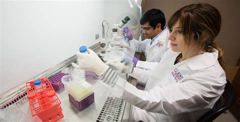 Biomedical Engineering Work Environment 的图像结果