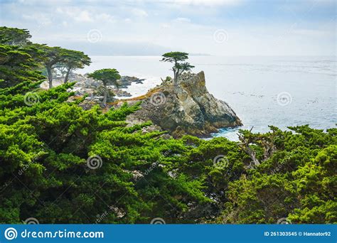 The Lone Cypress Tree Stands on a Granite Hill Off the 17-mile Drive in ...