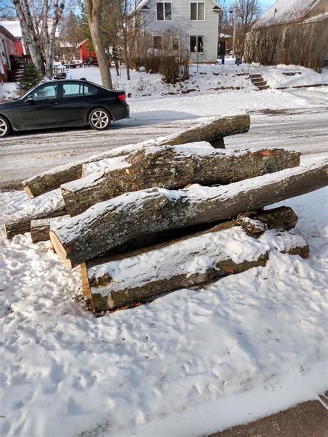 neighbor had a maple cut and is letting me have it all! : r/woodworking