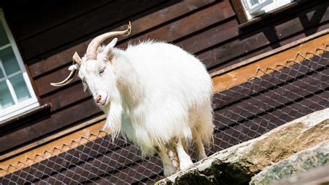 Byrkjedalstunet Lys | Shops | Dirdal | Norway