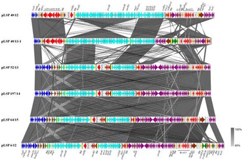 Insights into the Evolution of IncR Plasmids Found in the Southern ...