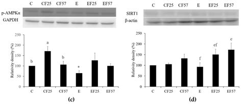 Effects of Fish Oil on Lipid Metabolism and Its Molecular Biological ...