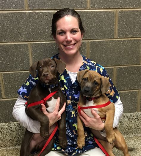 Clinic Tour | Northridge Animal Clinic