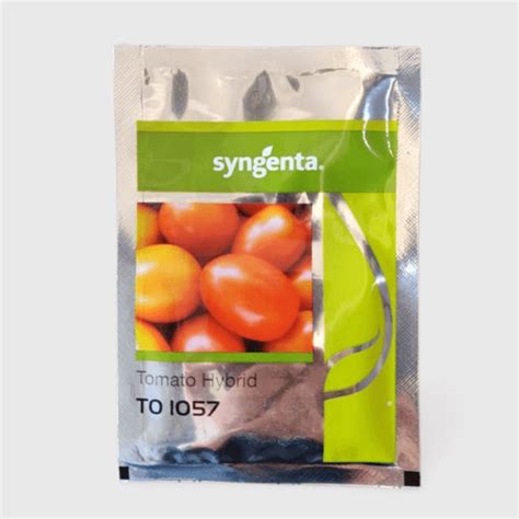 Syngenta TO 1057 Tomato Seed Price in India – BEEJMART