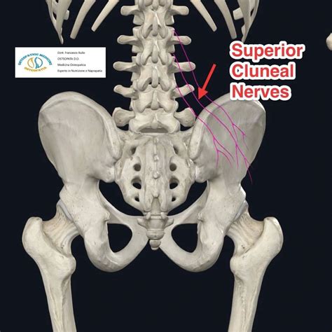 Have a case of sciatica or sacroiliac joint dysfunction that won't ...