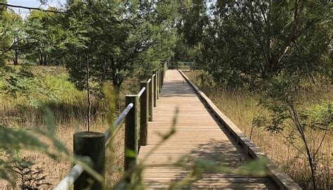 MACALISTER WETLAND RESERVE - All You Need to Know BEFORE You Go 2026 ...
