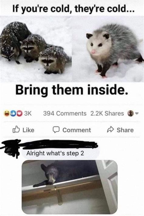 Image result for Splitting Me Open